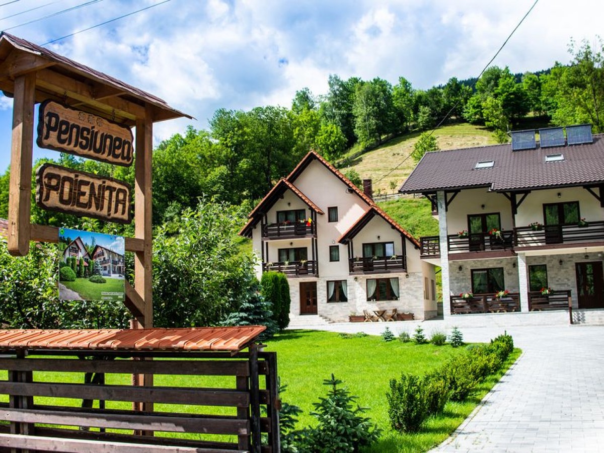Cazare Pensiunea Poienița