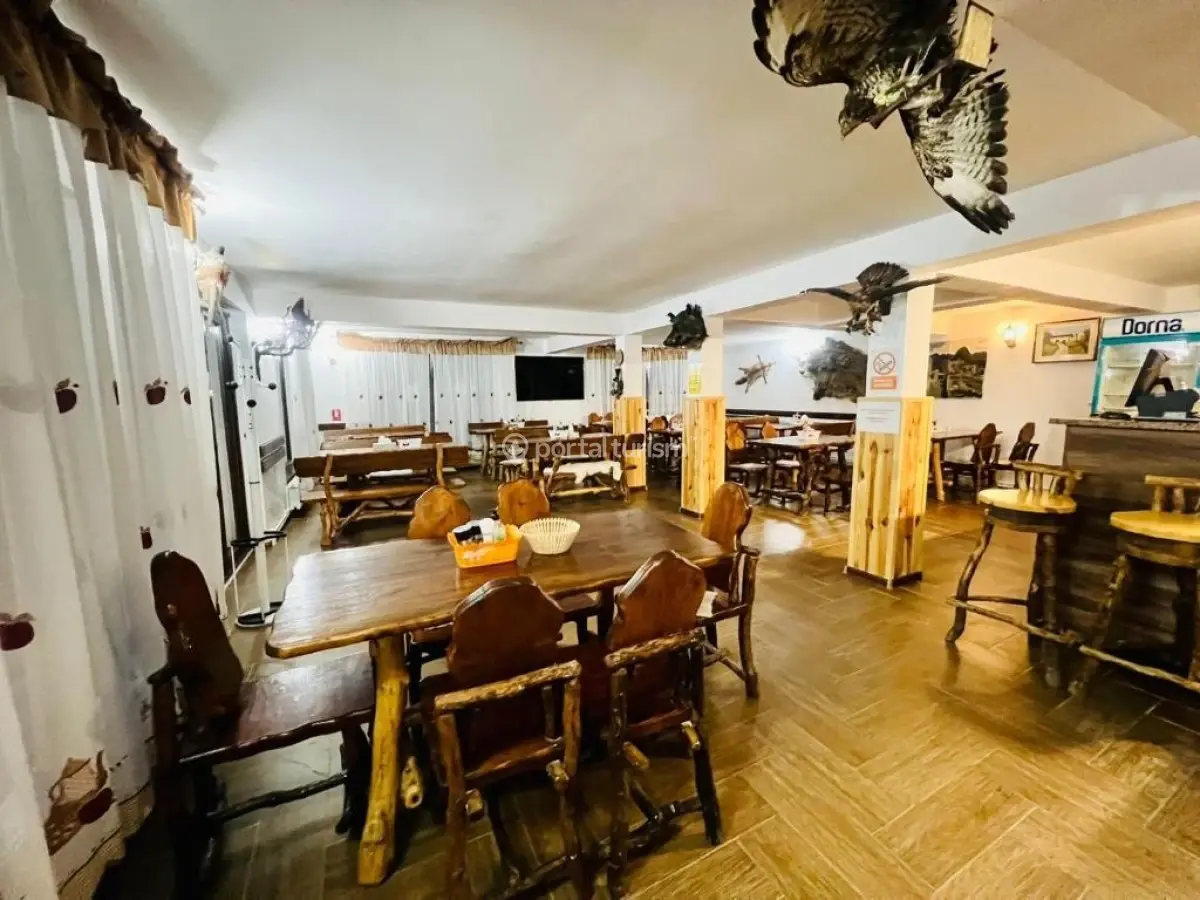 Pensiunea Conacul Boierului