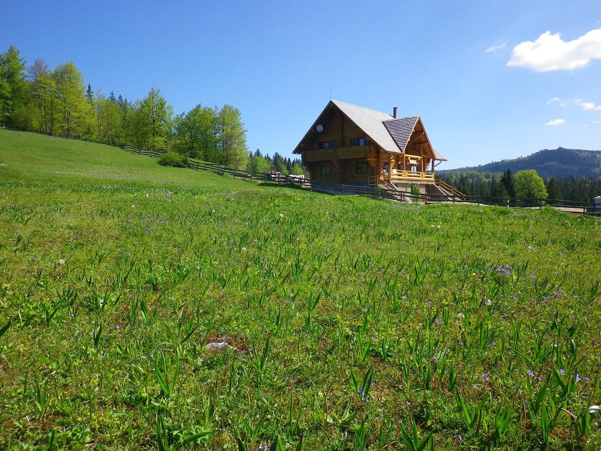 Cazare Pensiunea Rustic