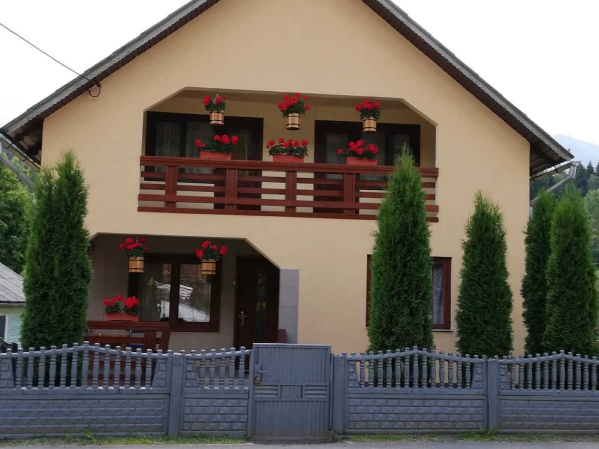 Accommodation Pensiunea Ada