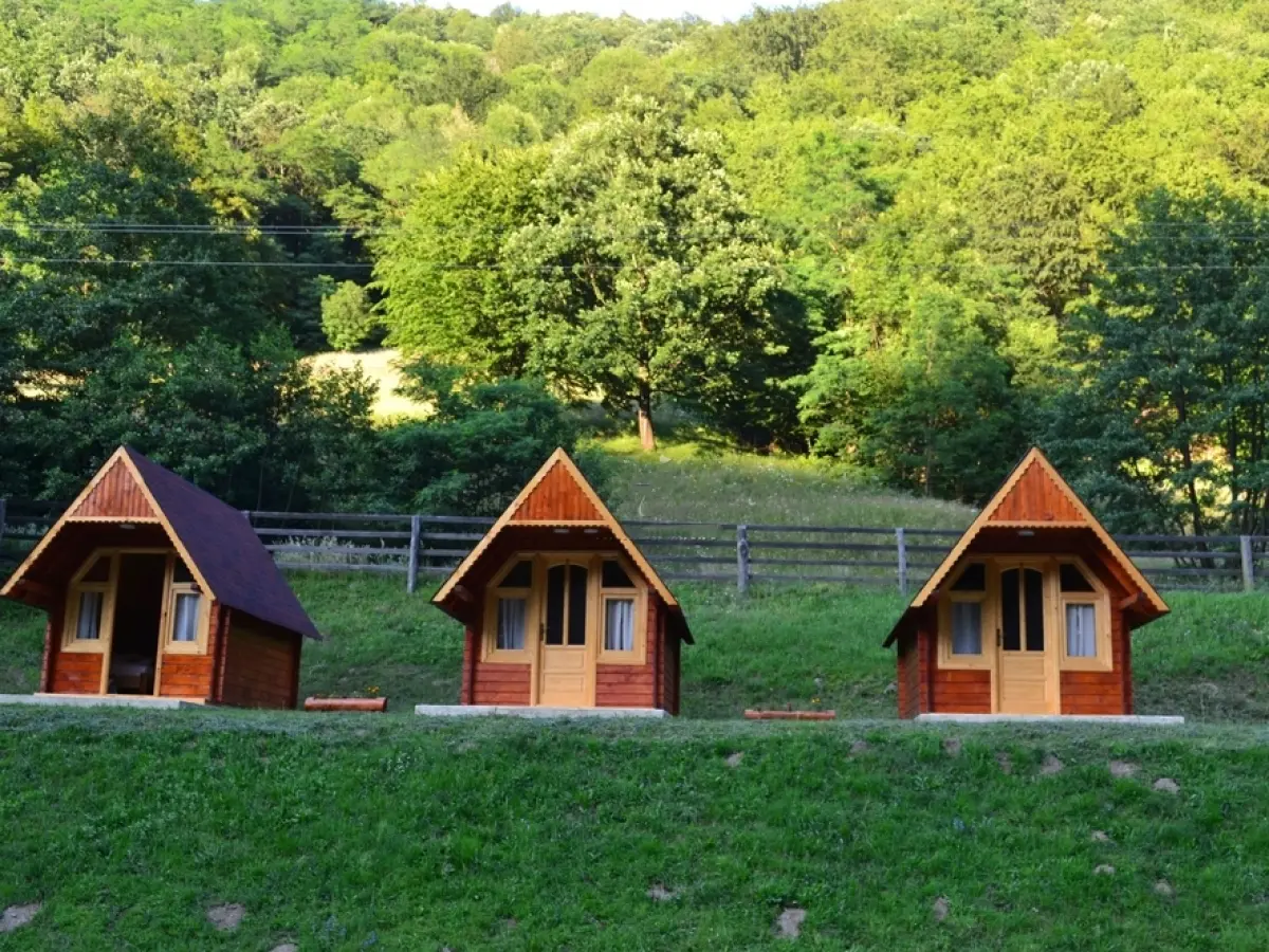 Accommodation Camping Costești