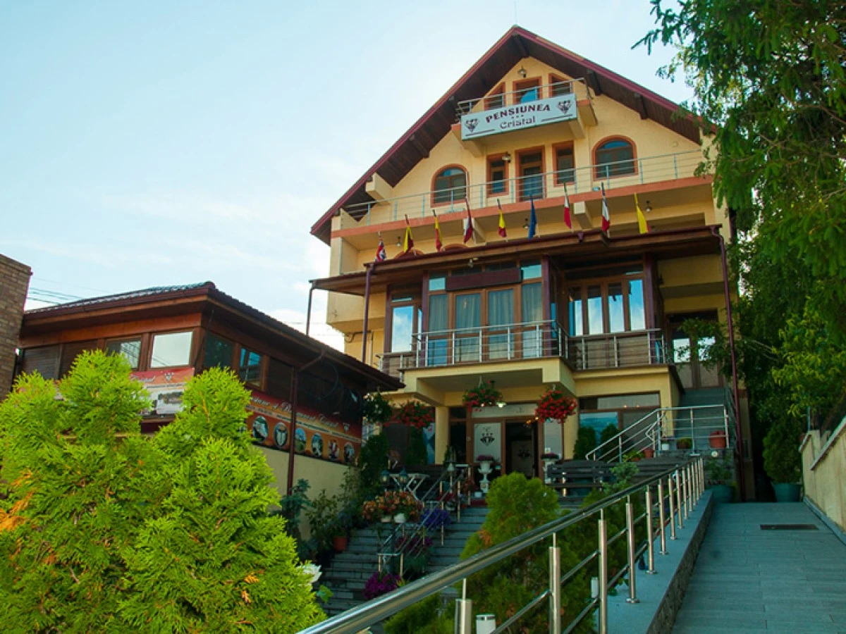 Unterkunft Pensiunea Cristal