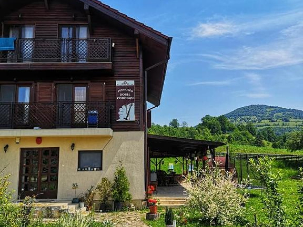 Alloggio Pensiunea Dorel Codoban