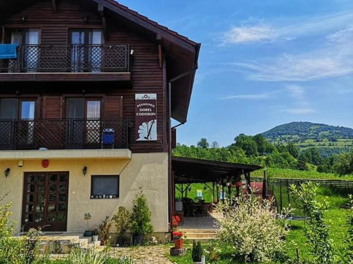Alojamiento Pensiunea Dorel Codoban