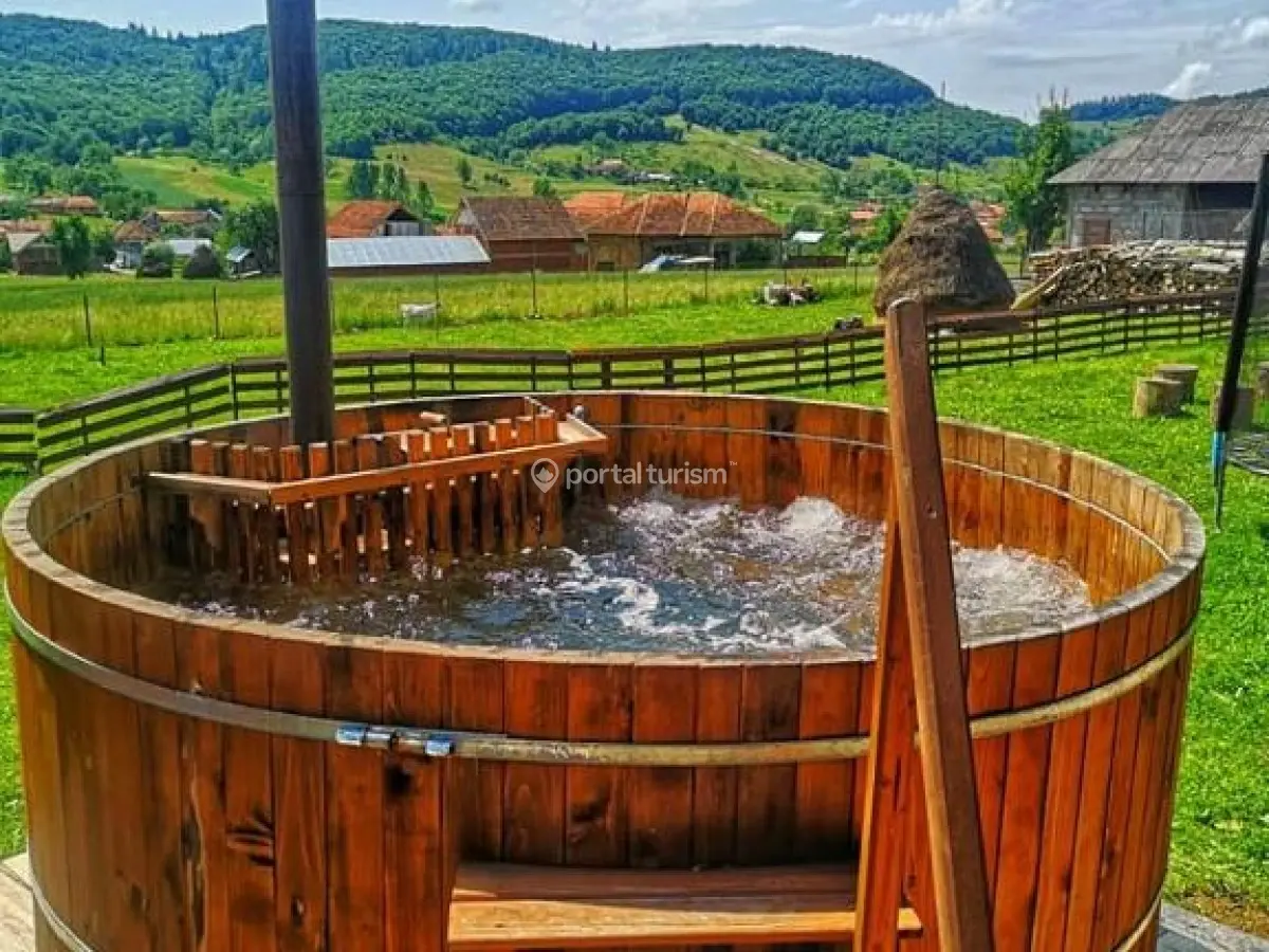 Pensiunea Dorel Codoban