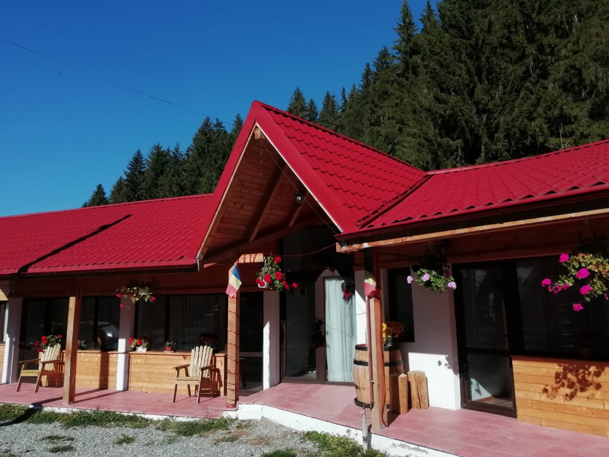 Accommodation Casa Alpin House