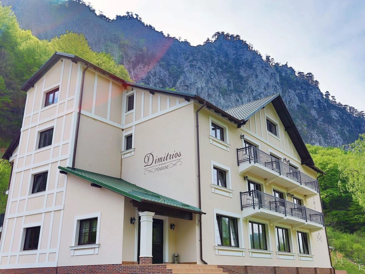 Unterkunft Pensiunea Dimitrios & SPA