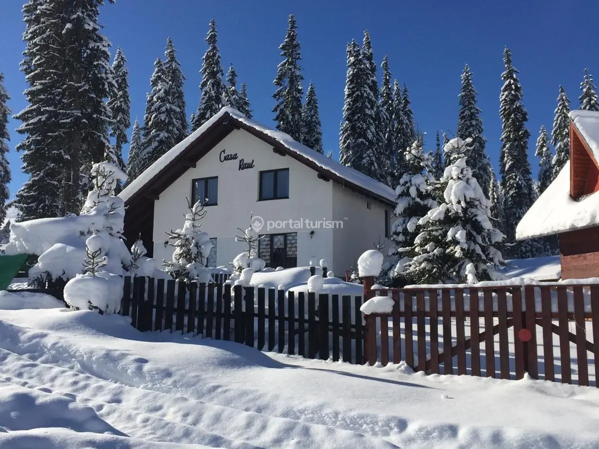 Casa de vacanță Raul