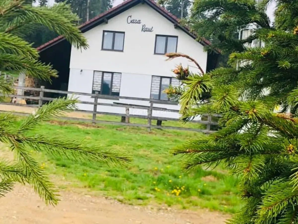 Casa de vacanță Raul
