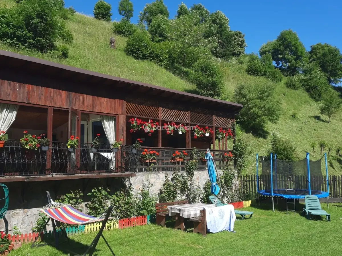 Pensiunea Dana Olteanu