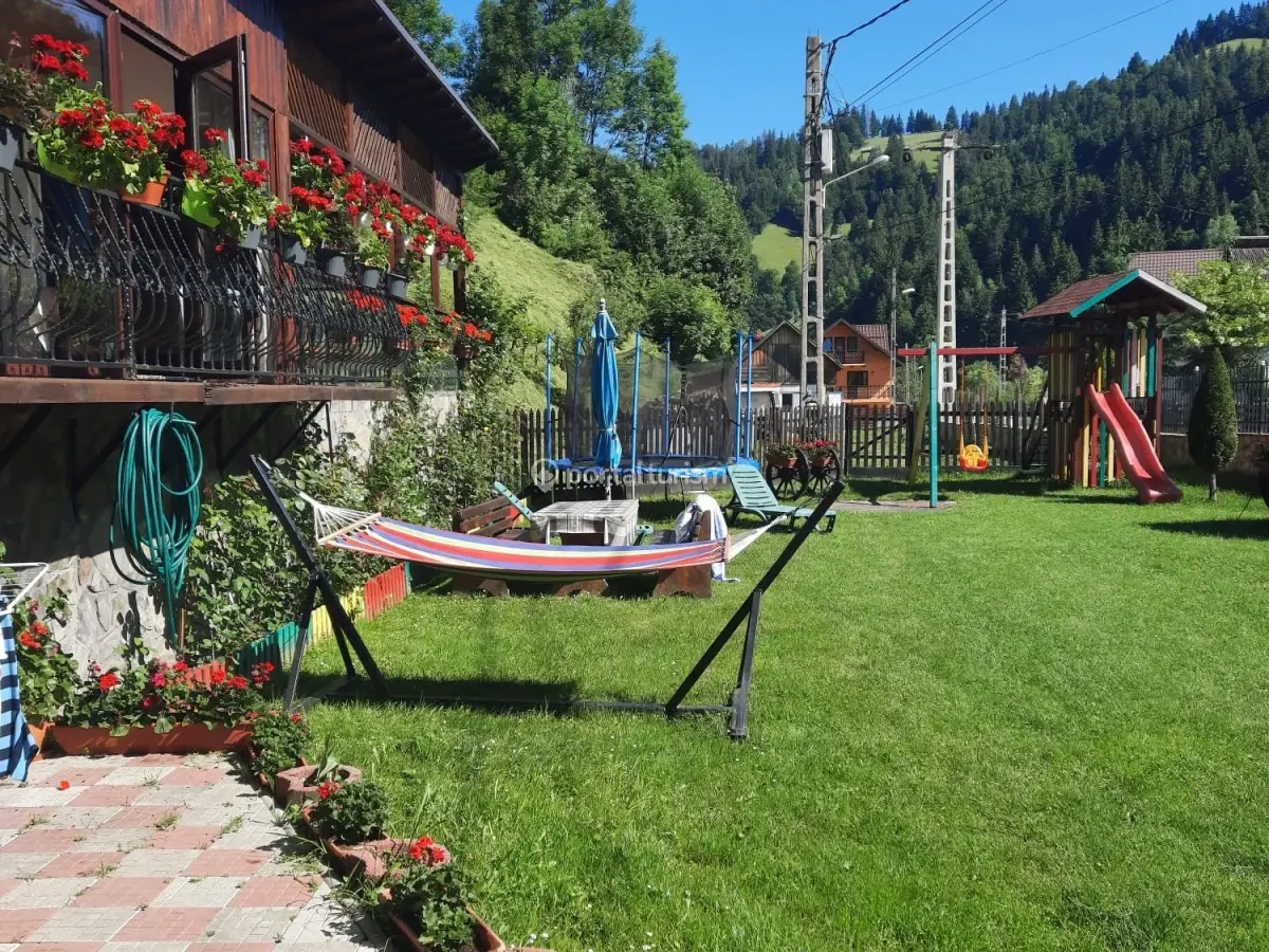 Pensiunea Dana Olteanu