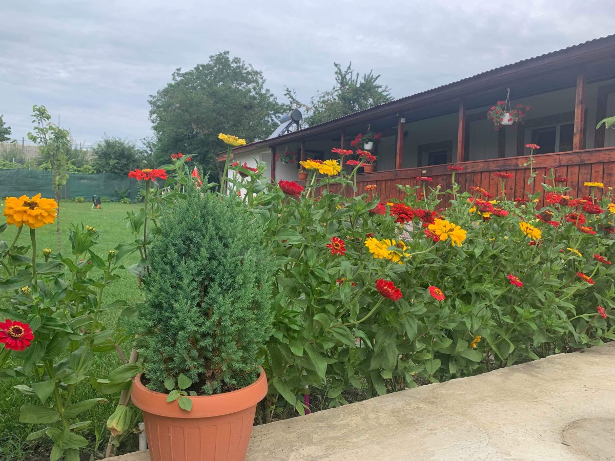 Accommodation Casa Ebo