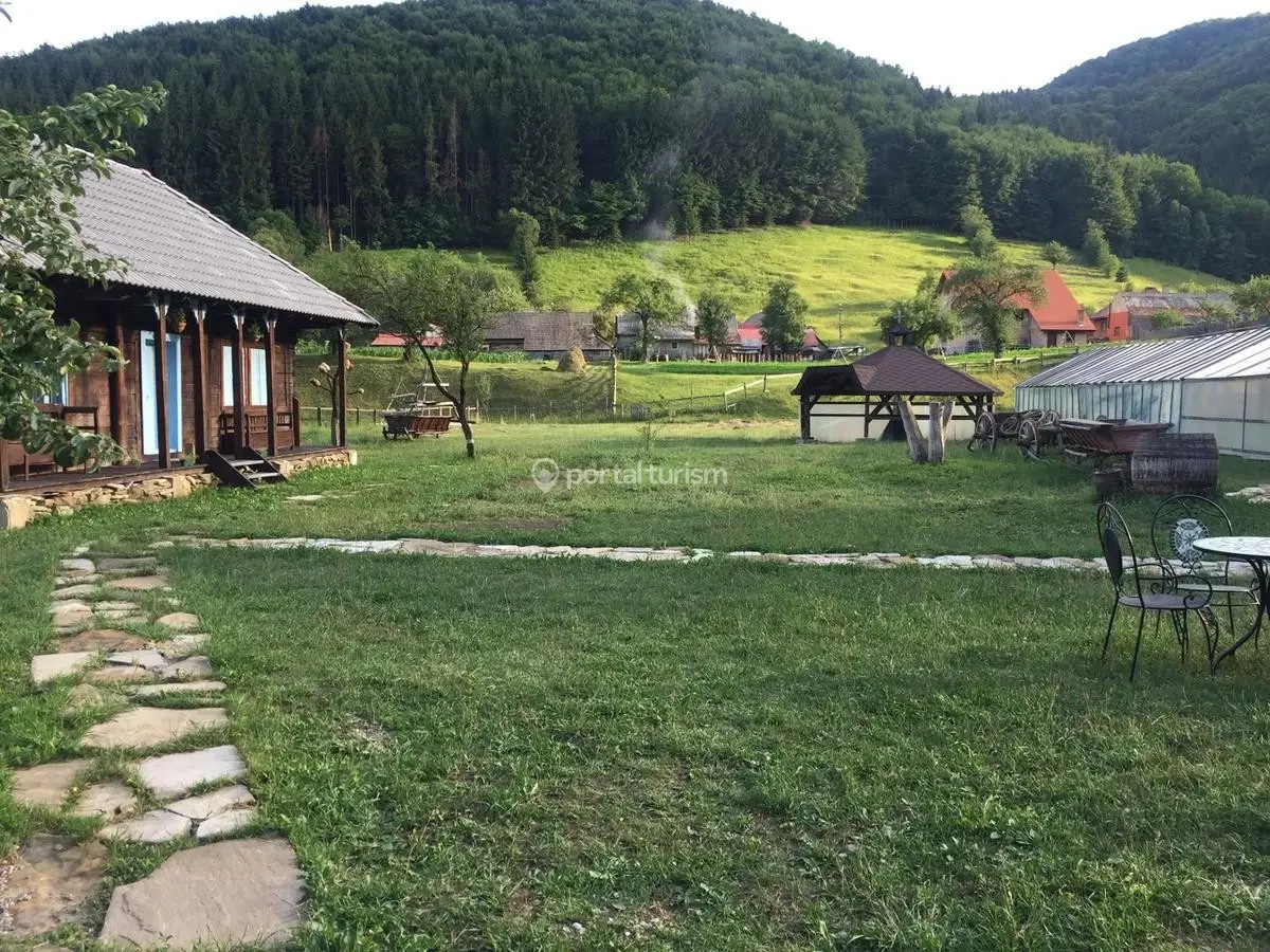 Gospodăria lui Nea Ion