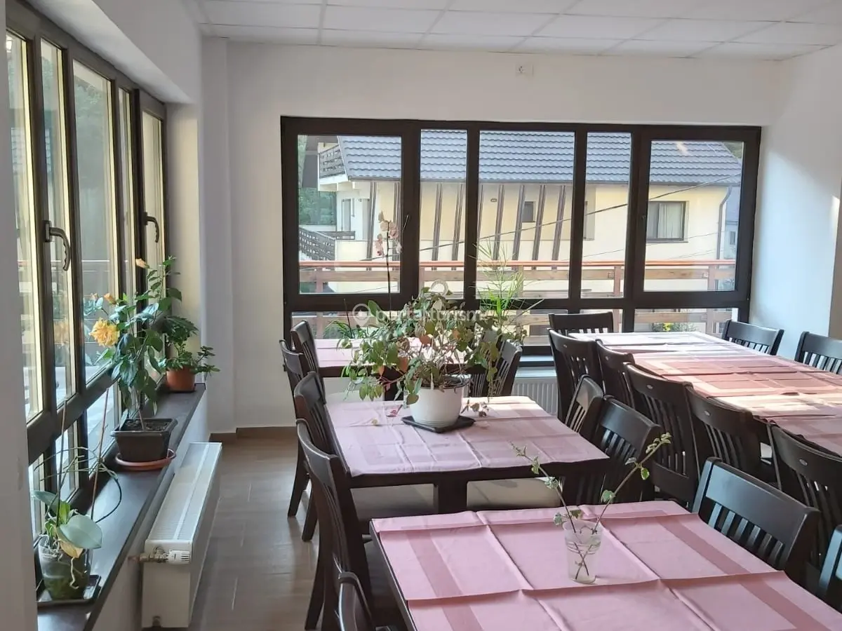 Pensiunea Iasmina și  Vânătorul