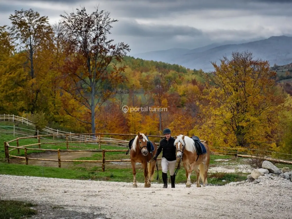 Potcoava Mountain Hideaway
