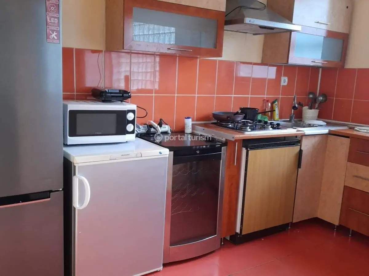 Casa de vacanță Nicoleta