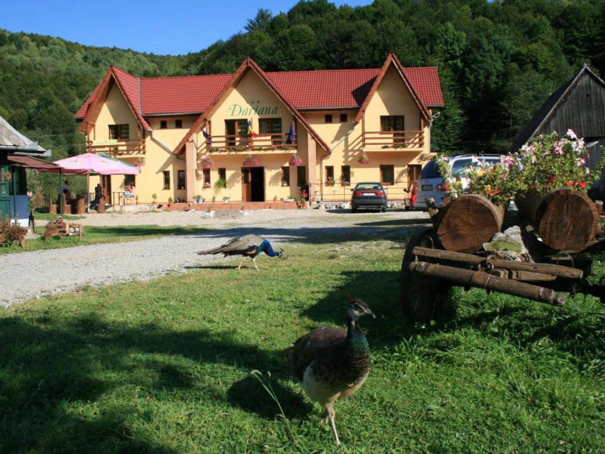 Unterkunft Pensiunea Green Mountain Resort