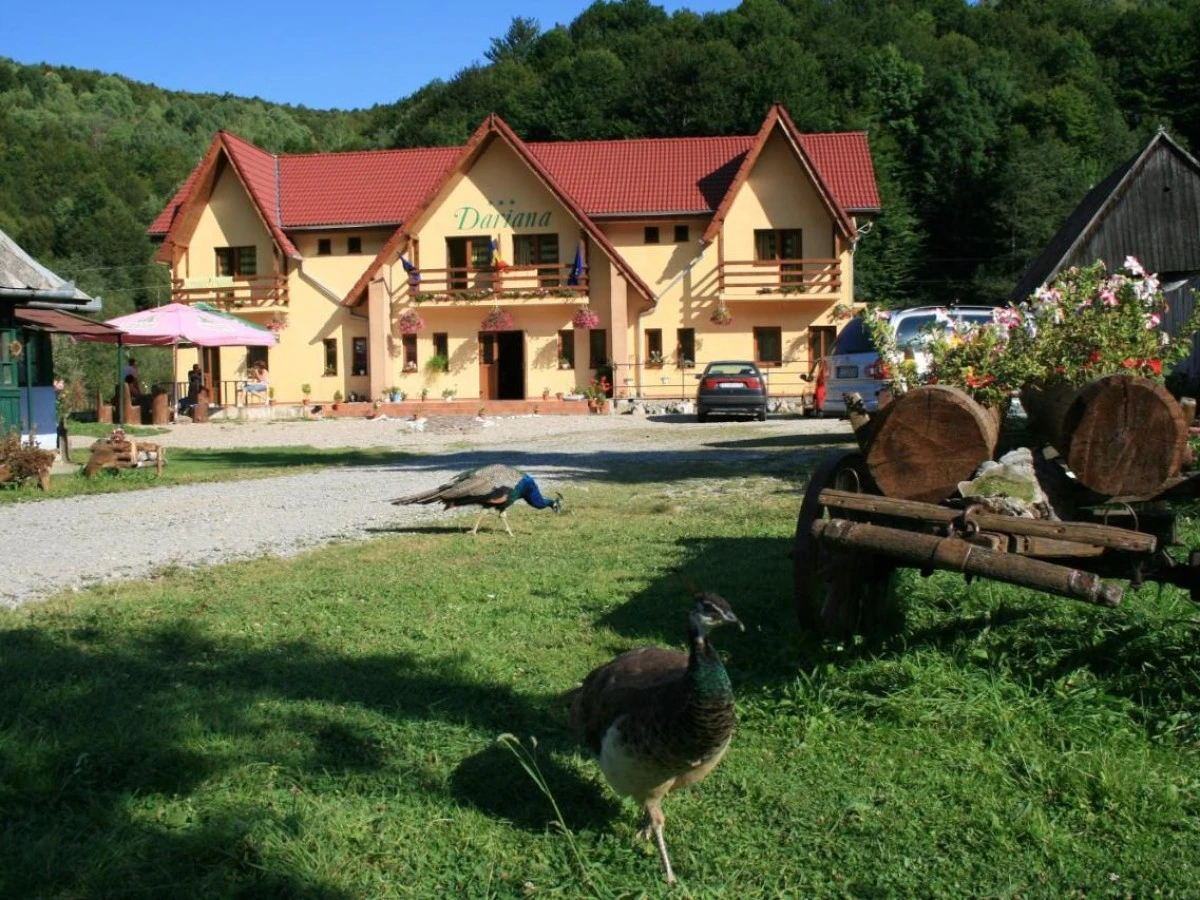 Alloggio Pensiunea Green Mountain Resort