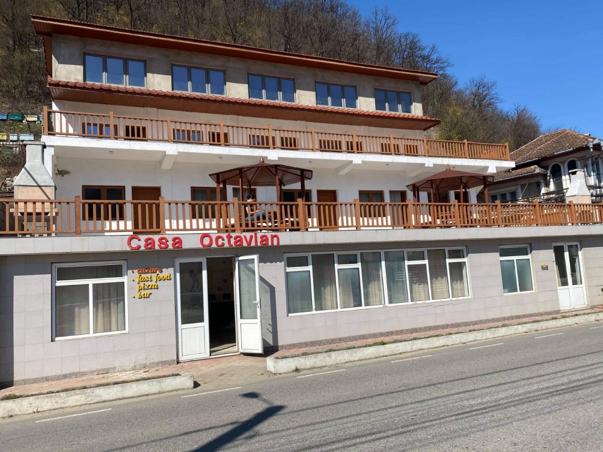 Cazare Camere de închiriat Casa Octavian