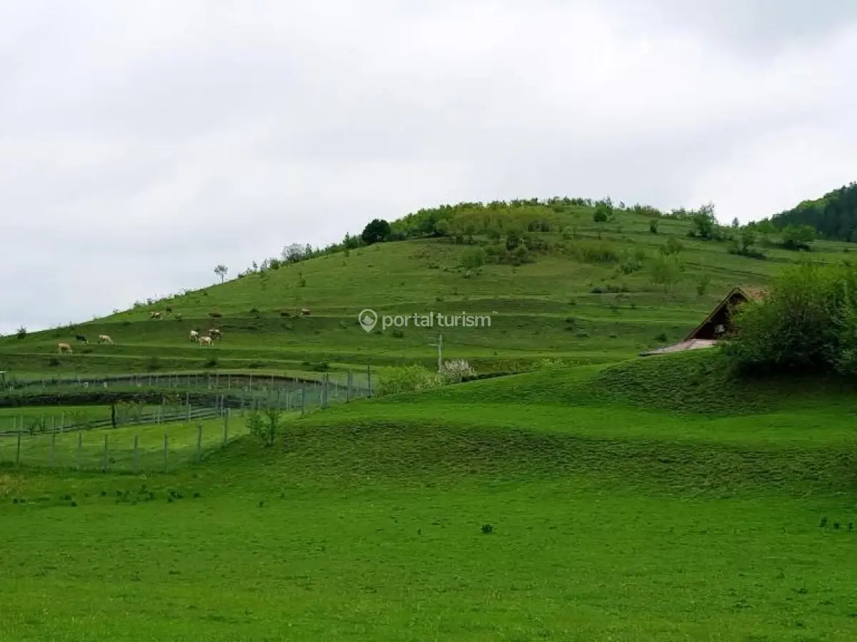 Casa Departe de Casa