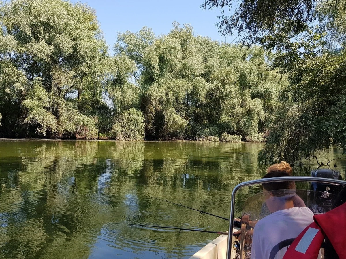 Szállás Pensiunea Casa David Si Maria