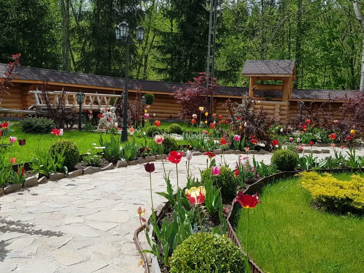 Cabana Izvorul Călimanilor