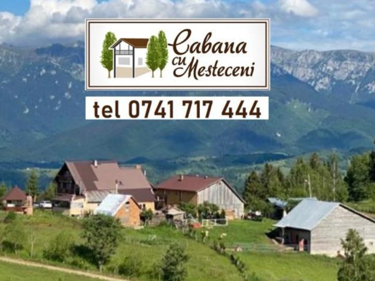 Unterkunft Cabana cu Mesteceni