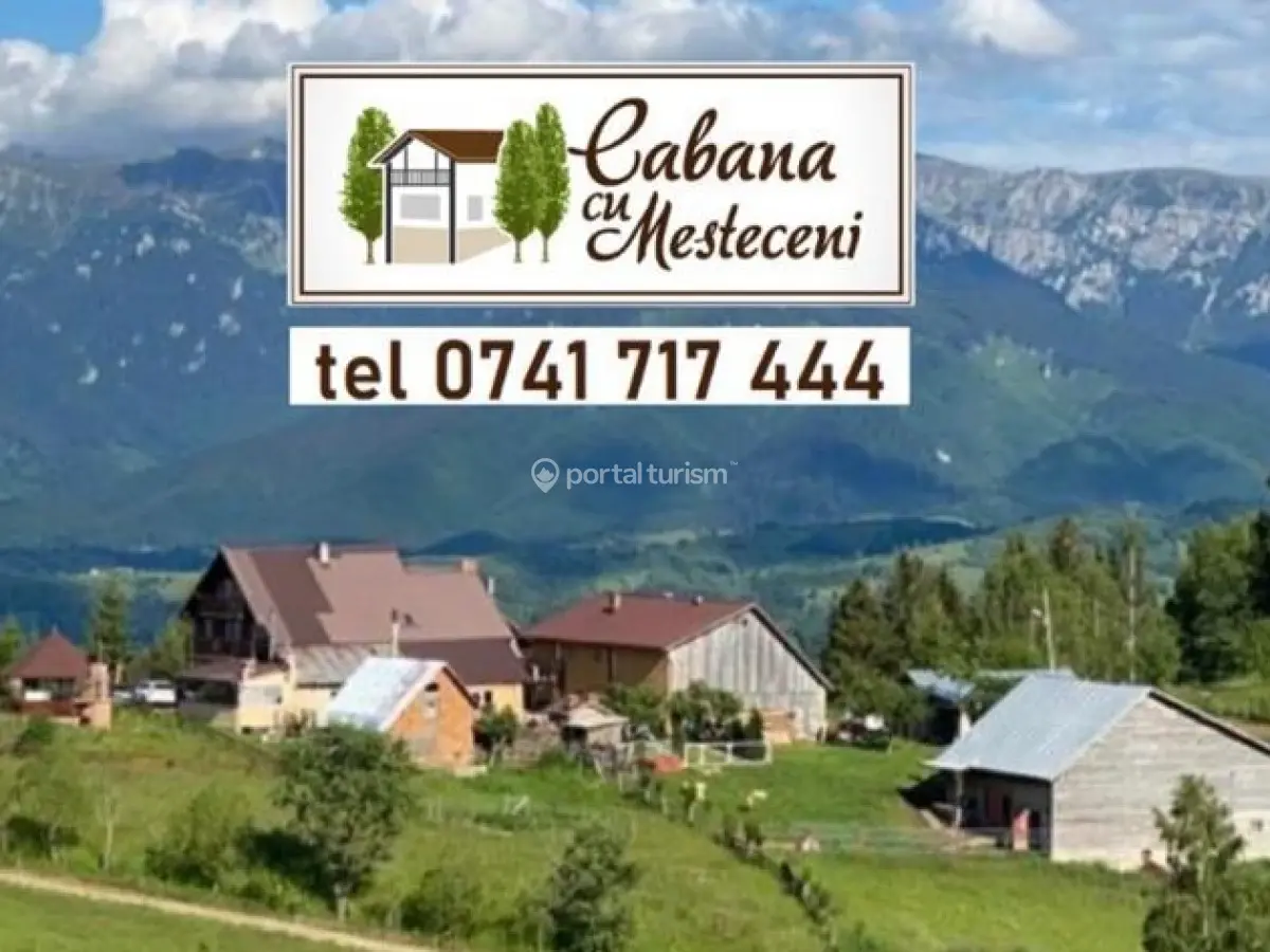 Cabana cu Mesteceni