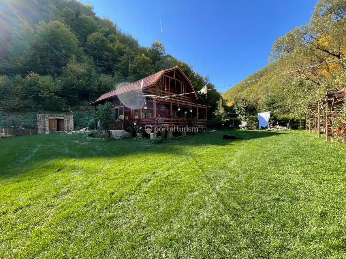 Cabana Zeița Pădurii