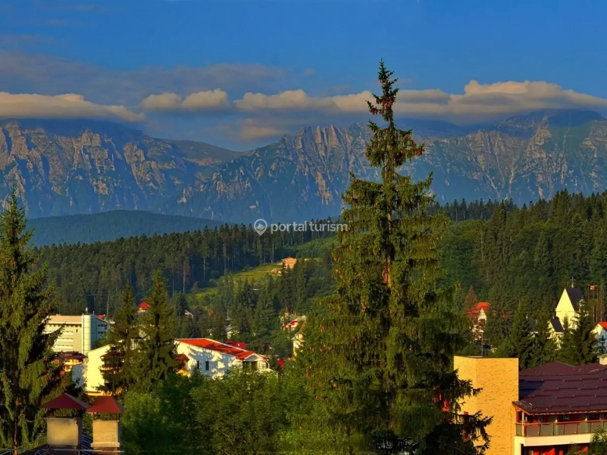 Hostel Mountain Breeze