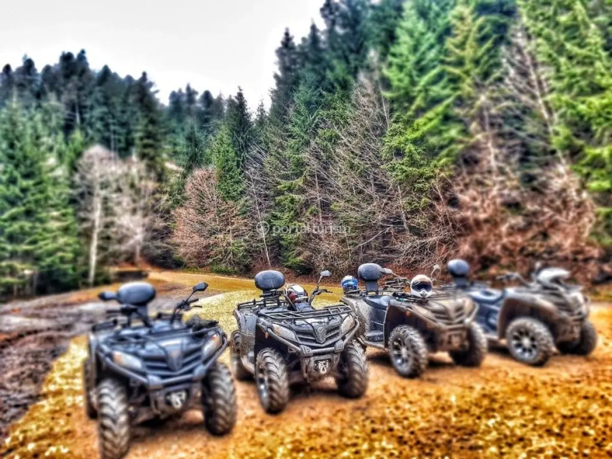 Hanul Dragonului Șicasău