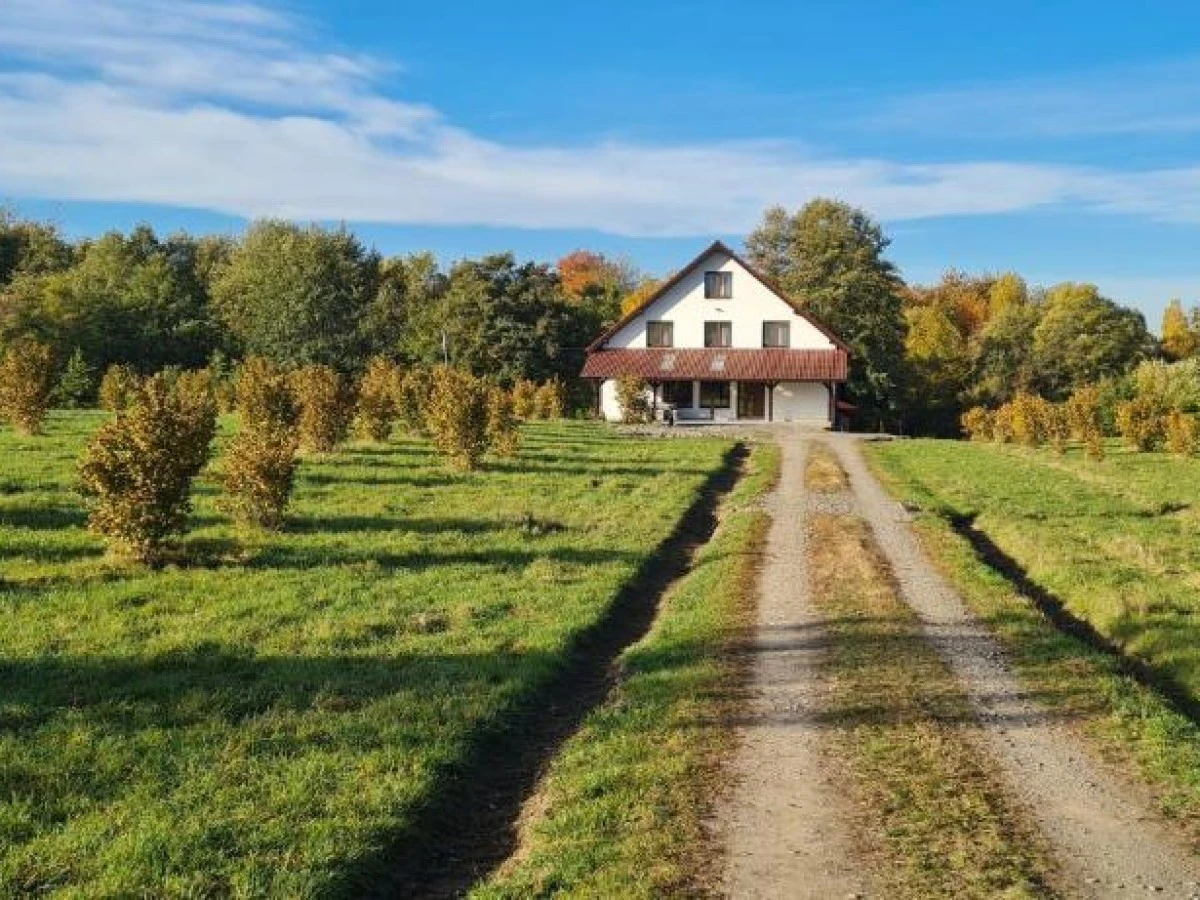 Accommodation Cabana Oana