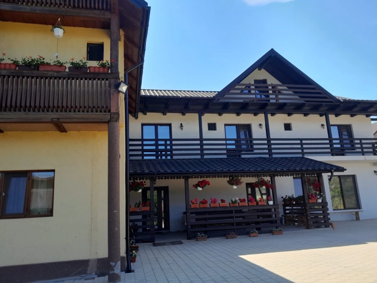 Hébergement Pensiunea Diana