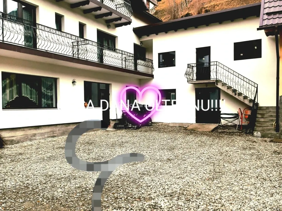Pensiunea Casa Dana Olteanu Corpul B
