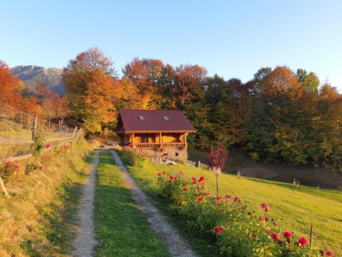 Cazare Cabana Adierea Vântului