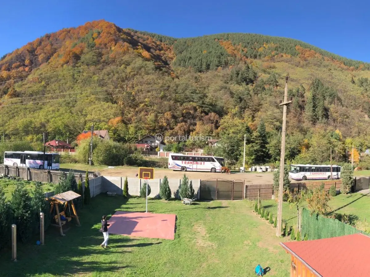 Cabana Doi Brăduți