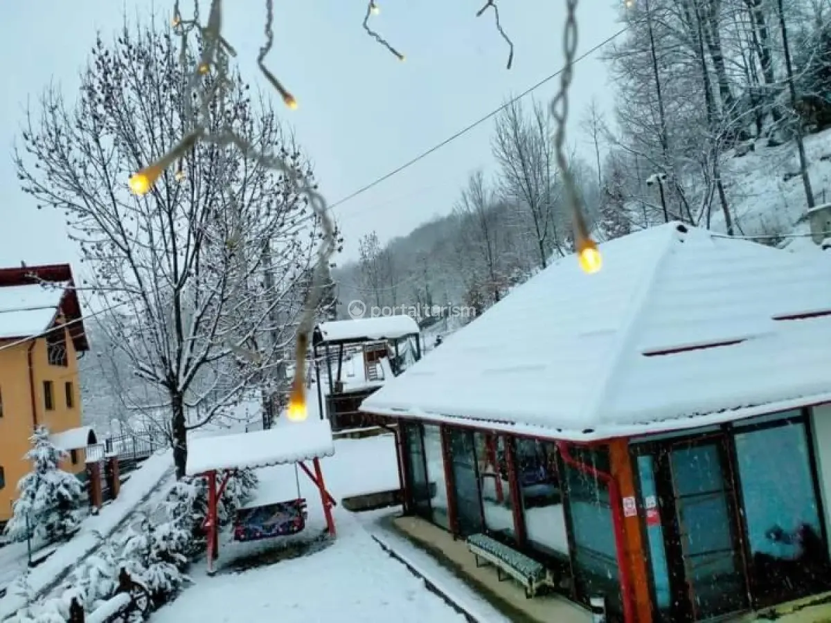 Pensiunea Daniela Moisei