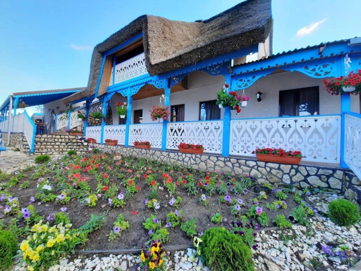 Accommodation Camere de închiriat Amalia Maria