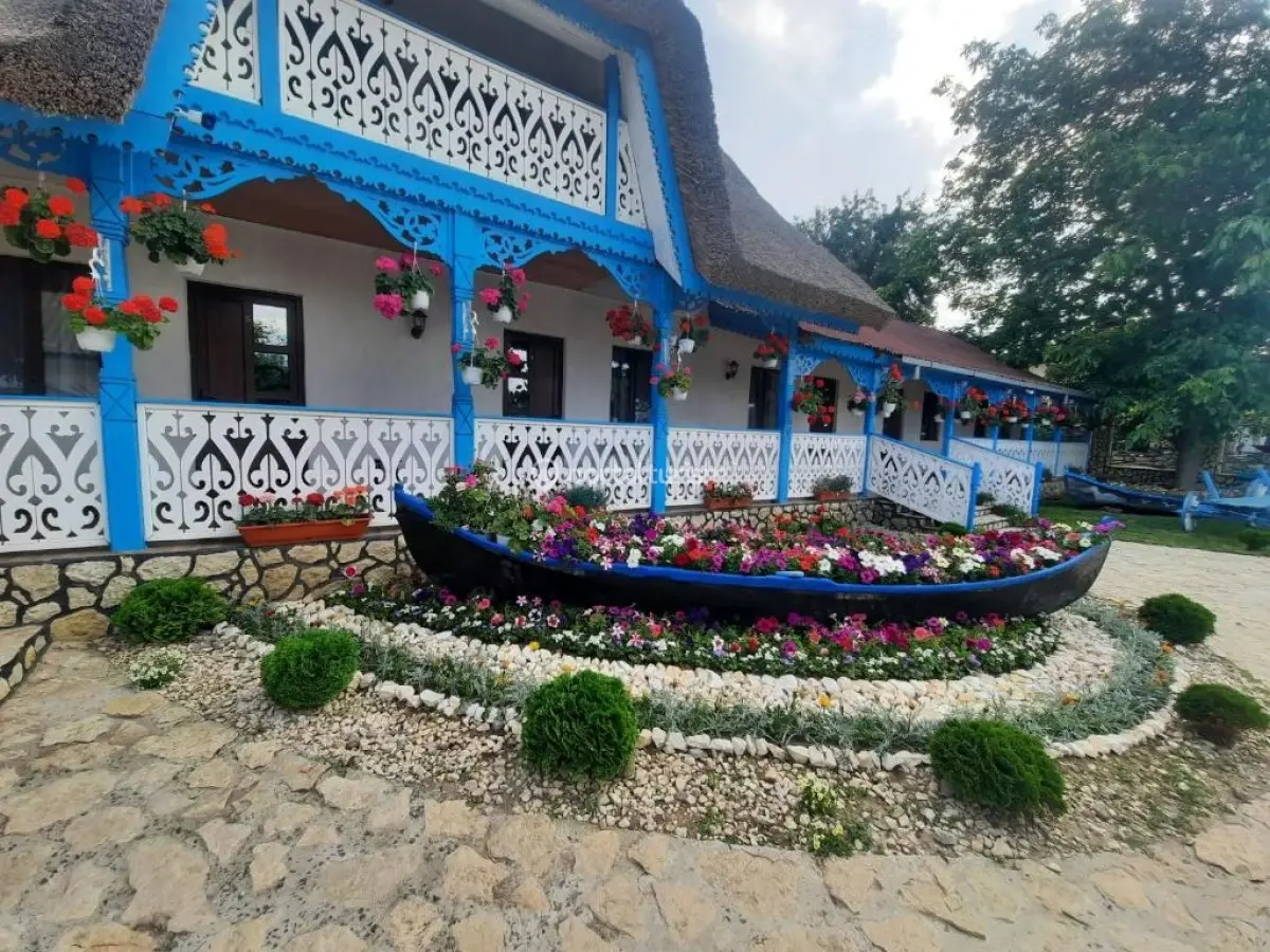 Camere de închiriat Amalia Maria