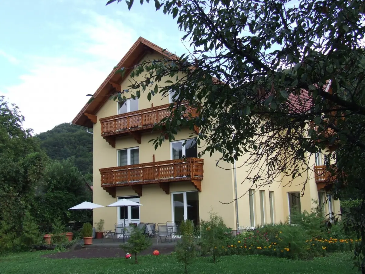 Hébergement Pensiunea Foenix