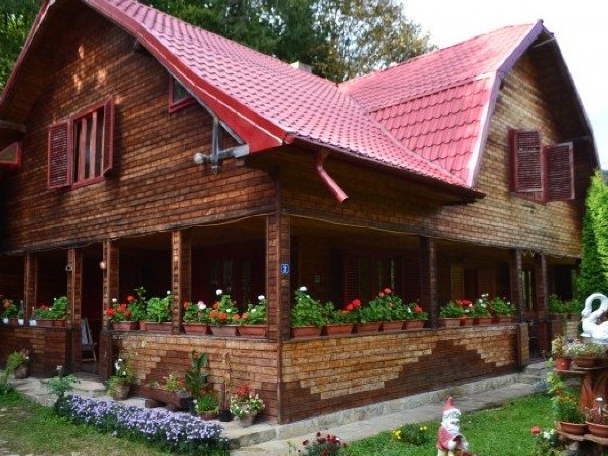 Hébergement Pensiunea Alunis