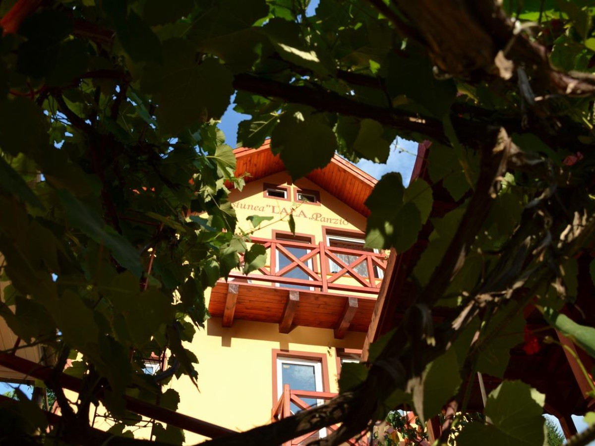 Cazare Pensiunea Lala