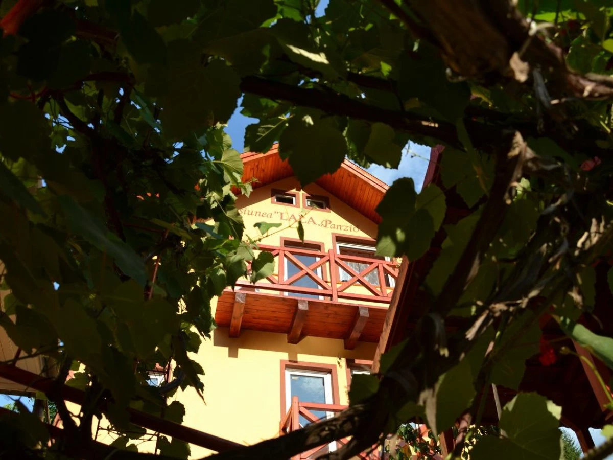 Cazare Pensiunea Lala