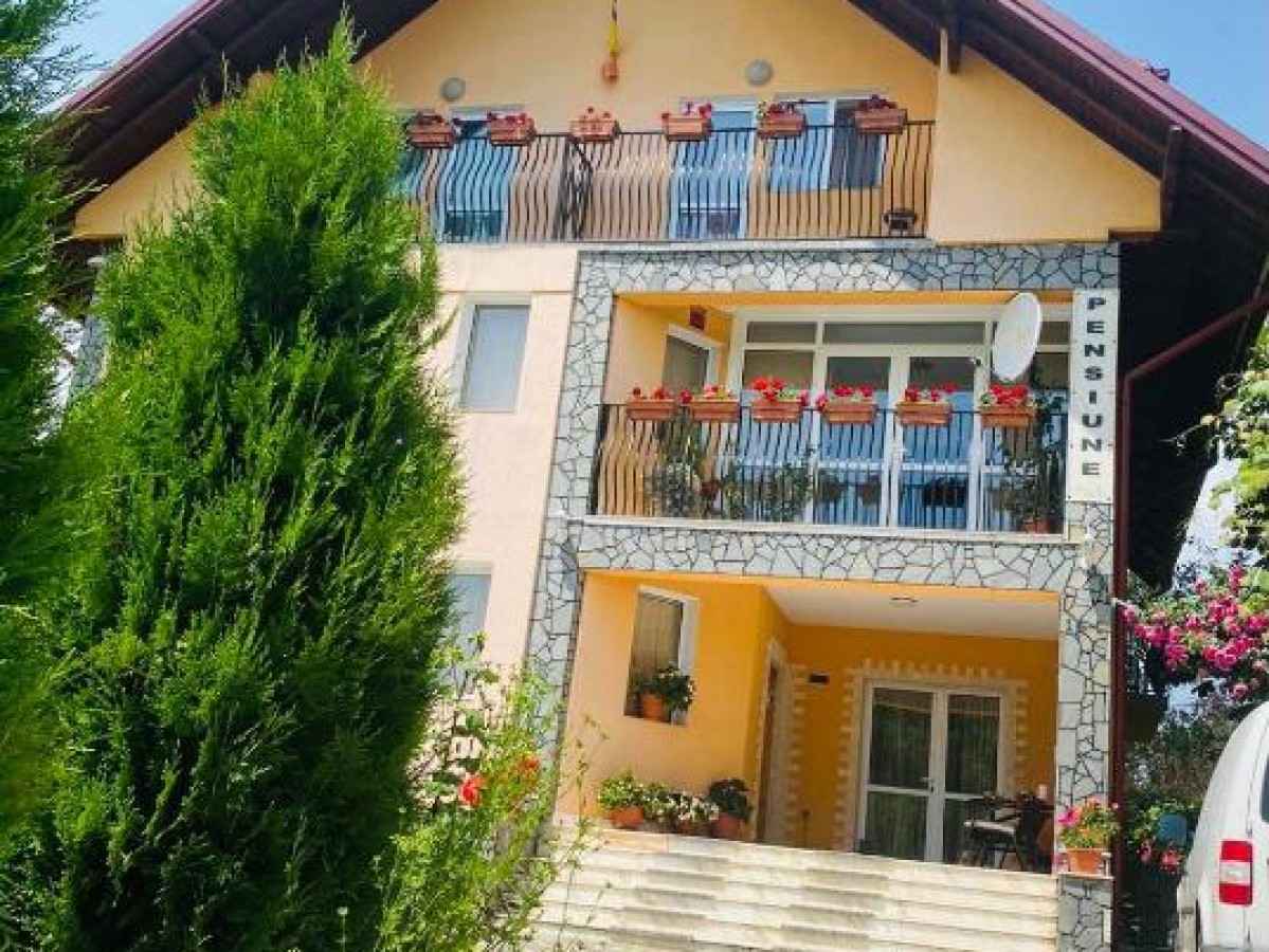 Accommodation Pensiunea Nina