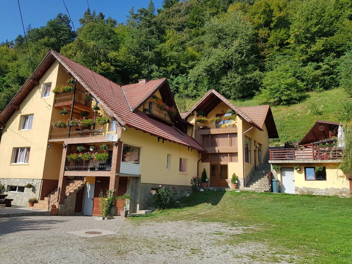 Cazare Casa Paula și Călin