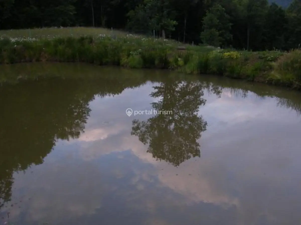 Complex Turistic Poiana Verde