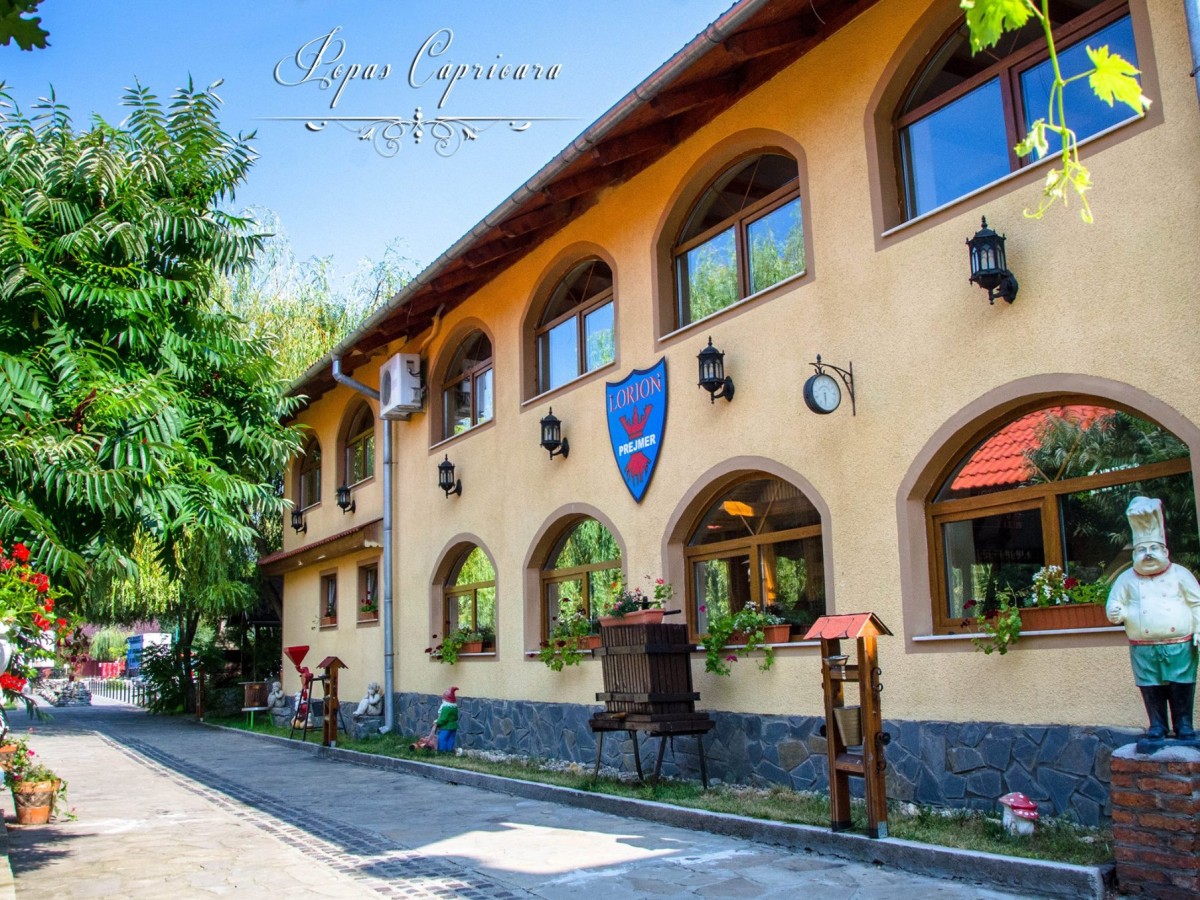 Cazare Complex Turistic Domeniul Bogdan Lorion