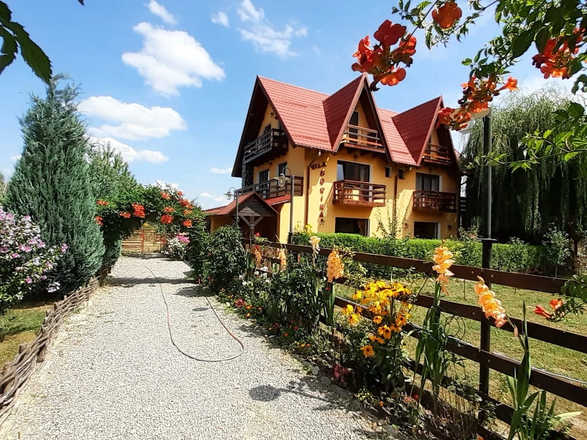 Accommodation Vila Sorina