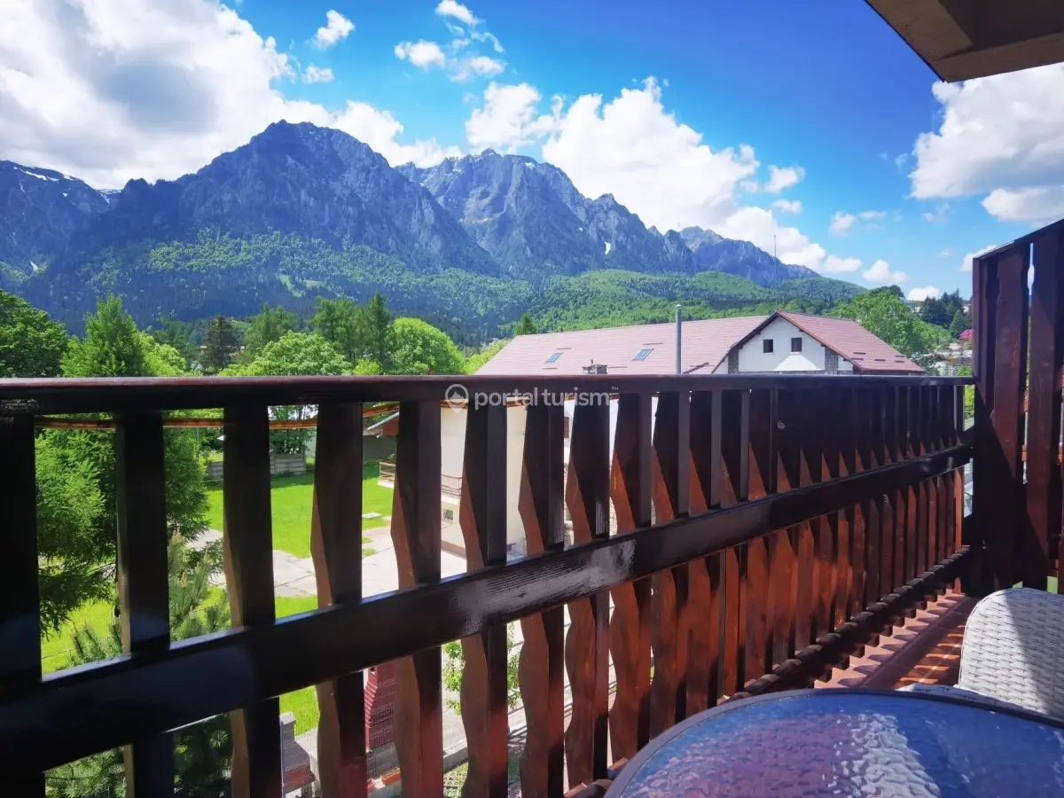 Pensiunea Steaua Nordului