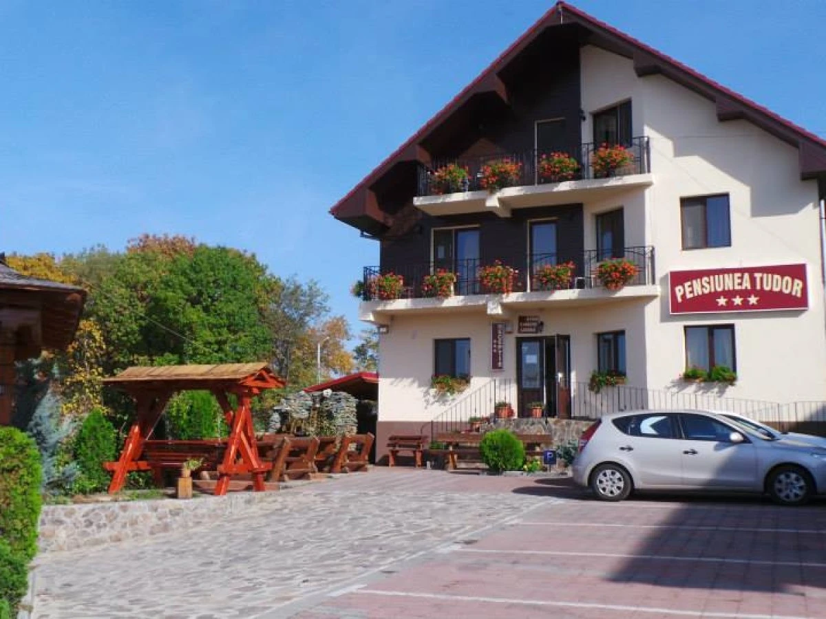 Unterkunft Pensiunea Tudor